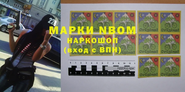 Альфа ПВП Белокуриха