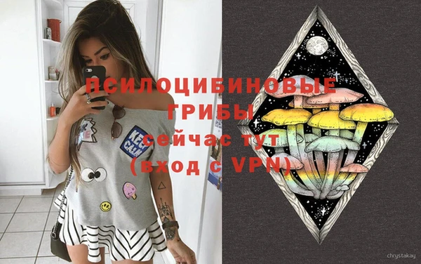 марки nbome Богородицк