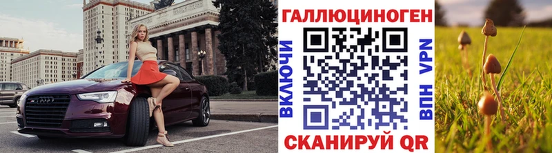 Псилоцибиновые грибы Psilocybe  Невель 